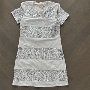 Flora Bea Silver Sequin Striped Dress